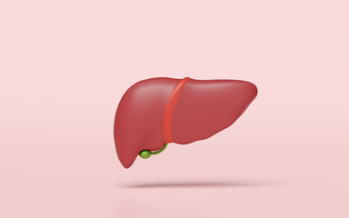3d realistic human liver isolated on pink background. liver, gallbladder  structure, organs concept, 3d illustration render
