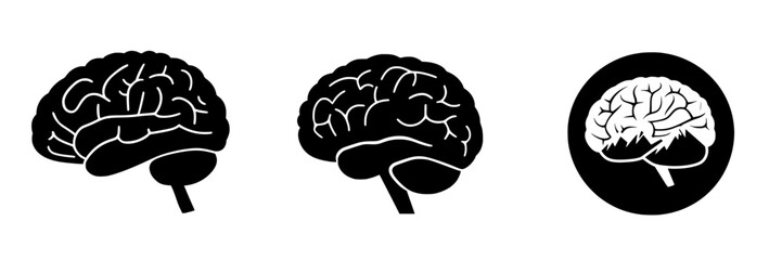 Different representations of the human brain in varying styles and designs for educational and artistic purposes