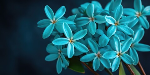 Obraz premium A close-up view of delicate blue flowers in a vase, highlighting the beauty and simplicity of nature.