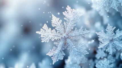 Winter Background with Snowflakes and Soft Lighting in Minimalist Photography