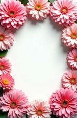 Obraz premium Oval frame decorated with pink chrysanthemums on white background with space for text, card template