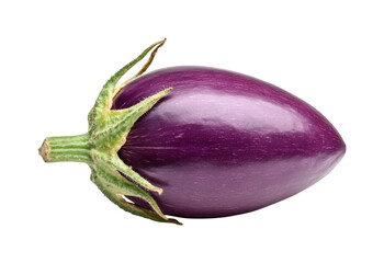 Fresh eggplant harvest local market food outdoor isolated on transparent background