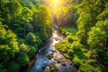 Fototapeta premium Aerial View of Serene Creek Winding Through Lush Green Forest - Stock Photo