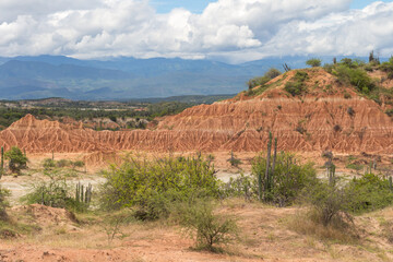Panorama of the Tatacoa desert with a morning light. Typical geological formation coming from erosion. Cloudy day, green grass, cactus, mountains in the background. Villavieja, Huila, Colombia.