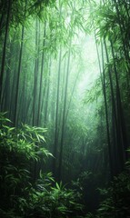 Fototapeta premium Serene bamboo forest illuminated by soft light creating a tranquil and peaceful atmosphere