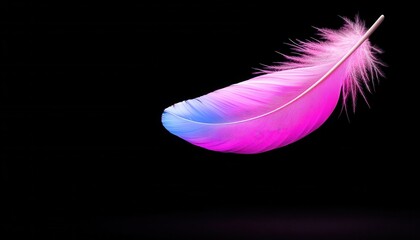 A vibrant pink and blue feather floating gracefully against a dark background, showcasing delicate beauty.