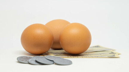 Eggs with money under them representing business inflation