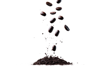Coffee beans falling on ground food isolated on transparent background