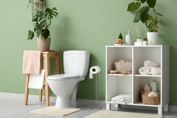 Toilet bowl and shelving units near green wall in restroom