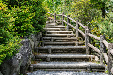 Wooden stairs that leads to a mountain top in Arashiyama, Kyoto.
