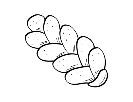 Challah bread doodle icon. Pastry, flour product icon for menu design or cafe. Isolated on a white background.