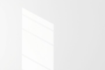 White Wall with Window Shadow