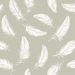 Elegant white feathers pattern on soft green background