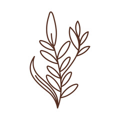 Boho aesthetic botanical line art leaf