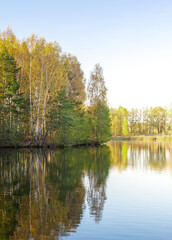 Calm lake with trees in the background