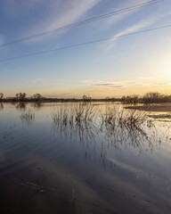 Calm body of water with a few trees in the background
