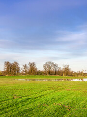 Field of grass with a pond in the middle