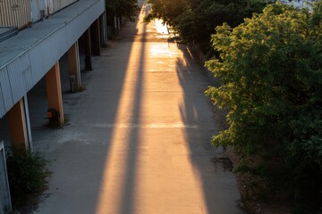 A peaceful outdoor pathway is bathed in the warm glow of golden hour sunlight, creating a serene atmosphere ideal for reflection and enjoyment of nature.