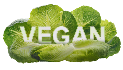 Fresh green lettuce with the word 'Vegan' highlighting healthy dietary choices.