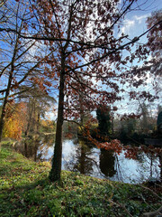 Autumn trees by a riverside, displaying vibrant shades of red, orange, and yellow