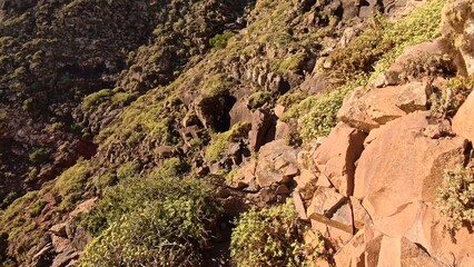 steiniger Pfad in sonnendurchflutetem idyllischem Tal auf Lanzarote, Kanaren, Wandern, Flora, Natur, Sonnenstrahlen, einsam, ruhig, Pfad, steinig, Berge
