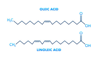 Oleic Acid and Linoleic Acid Structural Chemical Formulas Showing Differences