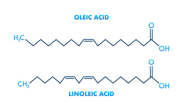 Oleic Acid and Linoleic Acid Structural Chemical Formulas Showing Differences