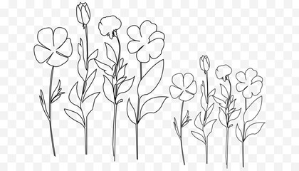 Elegant Hand-Drawn Line Art Flower Illustration with Delicate Petals and Intricate Botanical Details for Minimalist Wall Art, Tattoos, and Design Projects