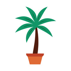 palm tree in a pot