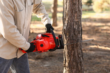Male lumberjack sawing tree in forest, closeup