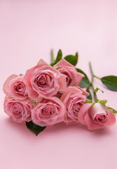 Pink roses lying on pink background creating stunning floral arrangement