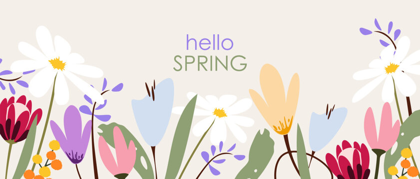 Hello spring.Background with spring flowers.Vector illustration.