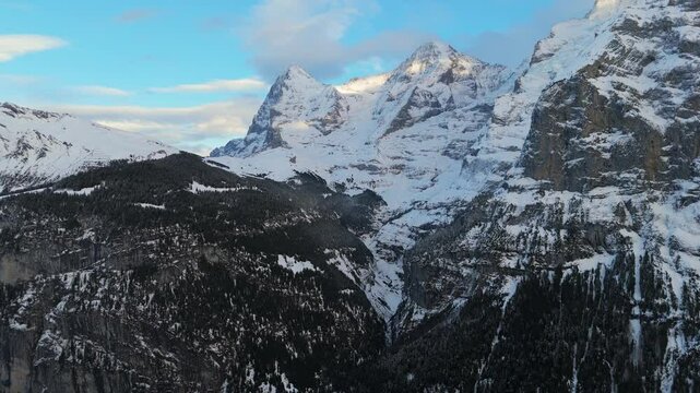 Eiger, Monch and Silberhorn Mountains in Winter. Swiss Alps. Switzerland. Aerial View. Moving Slowly Backwards between Conifer Trees