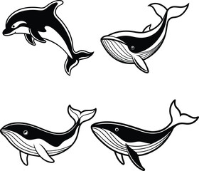 A beautiful whale line art collection. This vector artwork is perfect for children's coloring books, digital designs, t-shirts and branding etc. Ideal  for wildlife lovers and artistic projects.