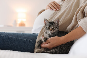 Pregnant woman with cute cat at home, closeup