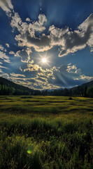 Fototapeta premium The sun shines on the grassland