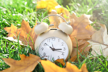 Autumn time. Alarm clock among fallen leaves on green grass on sunny day, closeup