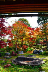 中野邸記念館の紅葉（新潟県）