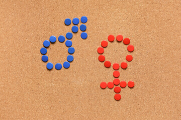 Female and male gender symbols made of buttons on cork board as background