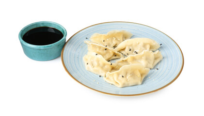 Tasty gyoza (dumplings) and soy sauce isolated on white