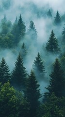 beautiful wallpaper of a forest phone background © ArtWork9