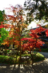 中野邸記念館の紅葉（新潟県）
