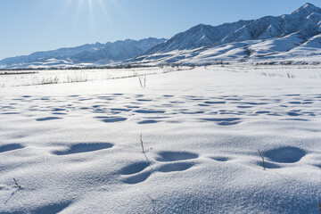 Fields and mountain ranges covered with snow and blue clear sky. Sunny winter day.