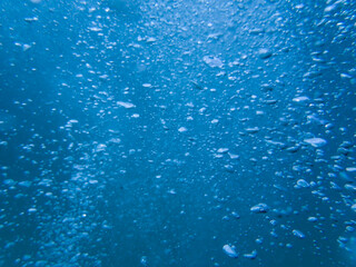 bubbles, bubble, water, underwater, sea, air, slow motion, deep, undersea, under, background, wave, liquid, clear, clean, ocean, nature, texture, oxygen, blue, white, effect, transparent, foam, aqua.