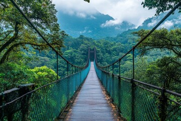 Fototapeta premium Suspension bridge stretches through lush jungle with misty mountains in background
