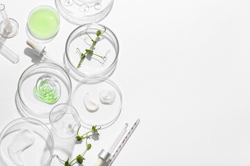 Petri dishes with different samples, professional glassware and sprouts on white background