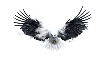 Fototapeta premium Majestic Eagle with Outstretched Wings on Transparent