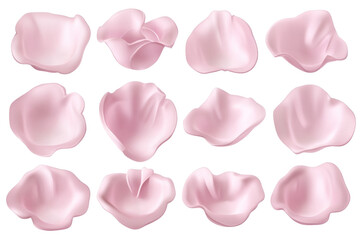 Rose petals on a transparent background 
