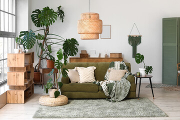 Comfortable sofa and Monstera houseplants in interior of living room