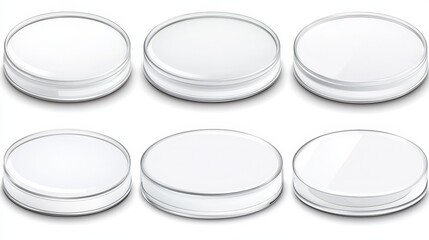 Transparent Containers with Lids for Creative Packaging Solutions